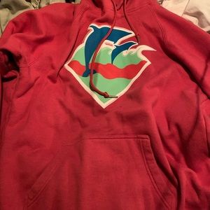 Pink dolphin hoodie